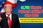 $1702 Stimulus Payment