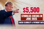 Stimulus Checks in June 2025